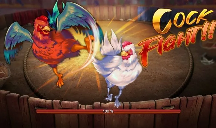 Đá Gà 3D Tại TK88