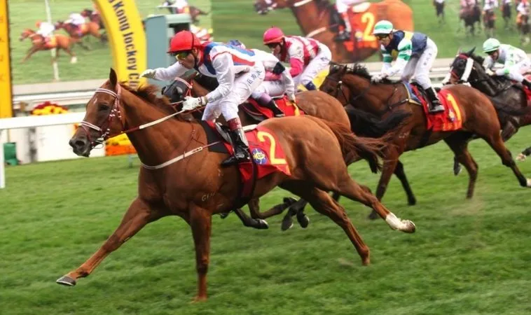 Bí Mật Đằng Sau Những Đường Đua Khám Phá Cá Cược Đua Ngựa TK88 1 Đua Ngựa TK88