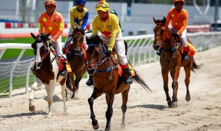 Bí Mật Đằng Sau Những Đường Đua Khám Phá Cá Cược Đua Ngựa TK88 2 Cần tìm hiểu về bộ môn Đua Ngựa TK88 trước khi tham gia cá cược